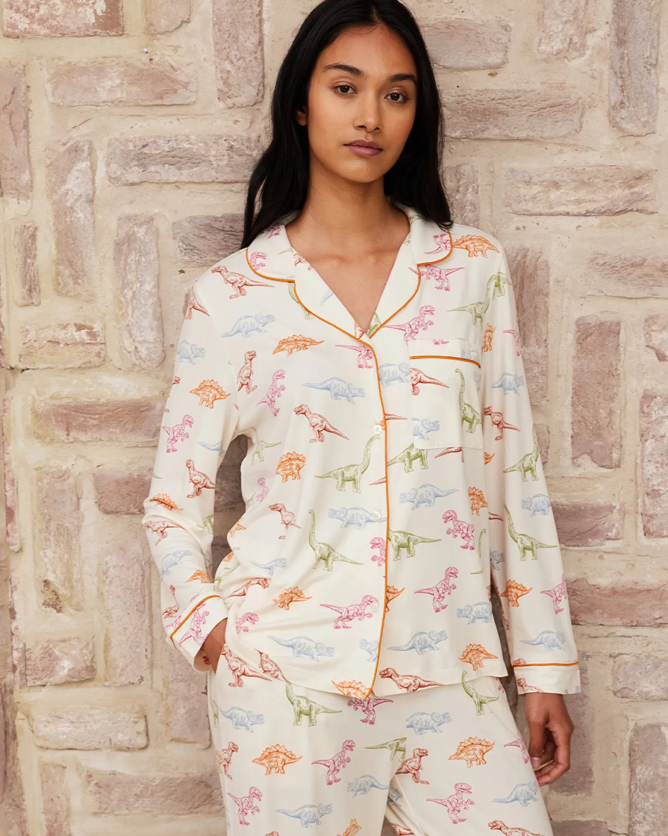 Dinosaur Print Long Pyjama Set