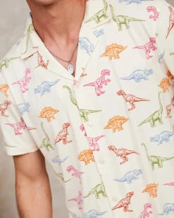 Dinosaur Print Long Pyjama Set