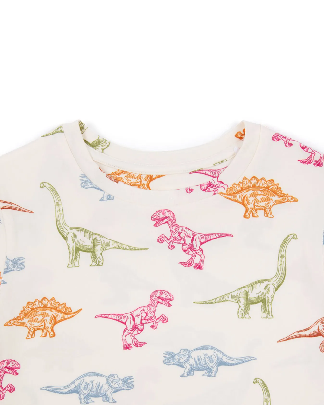 Kids Dinosaur Print Long Pyjama Set