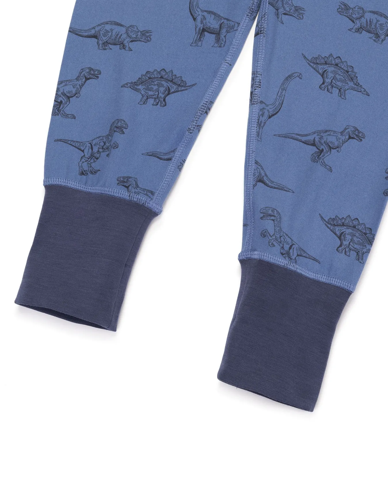 Kids Tonal Dinosaur Print Long Pyjama Set