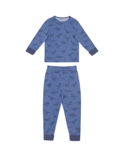Kids Tonal Dinosaur Print Long Pyjama Set
