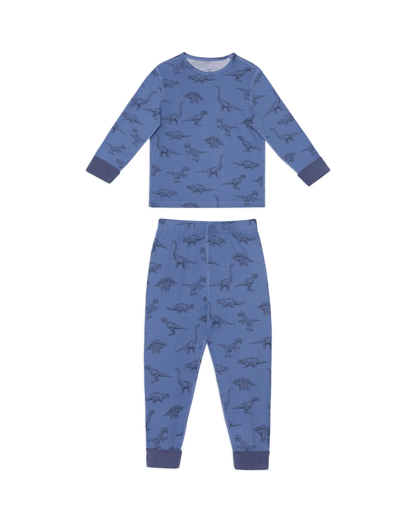 Kids Tonal Dinosaur Print Long Pyjama Set