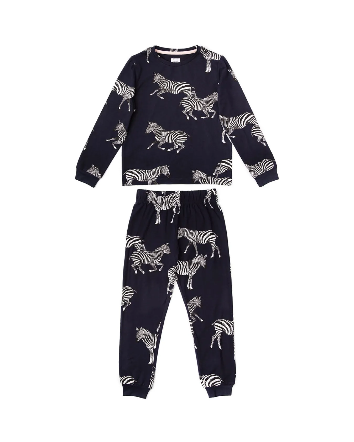 Kids Zebra Print Long Pyjama Set