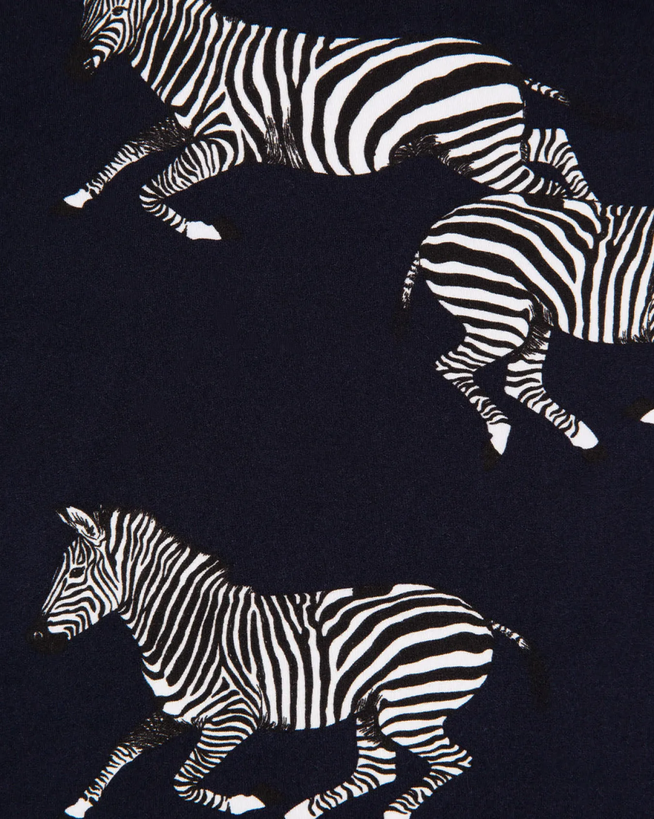 Kids Zebra Print Long Pyjama Set