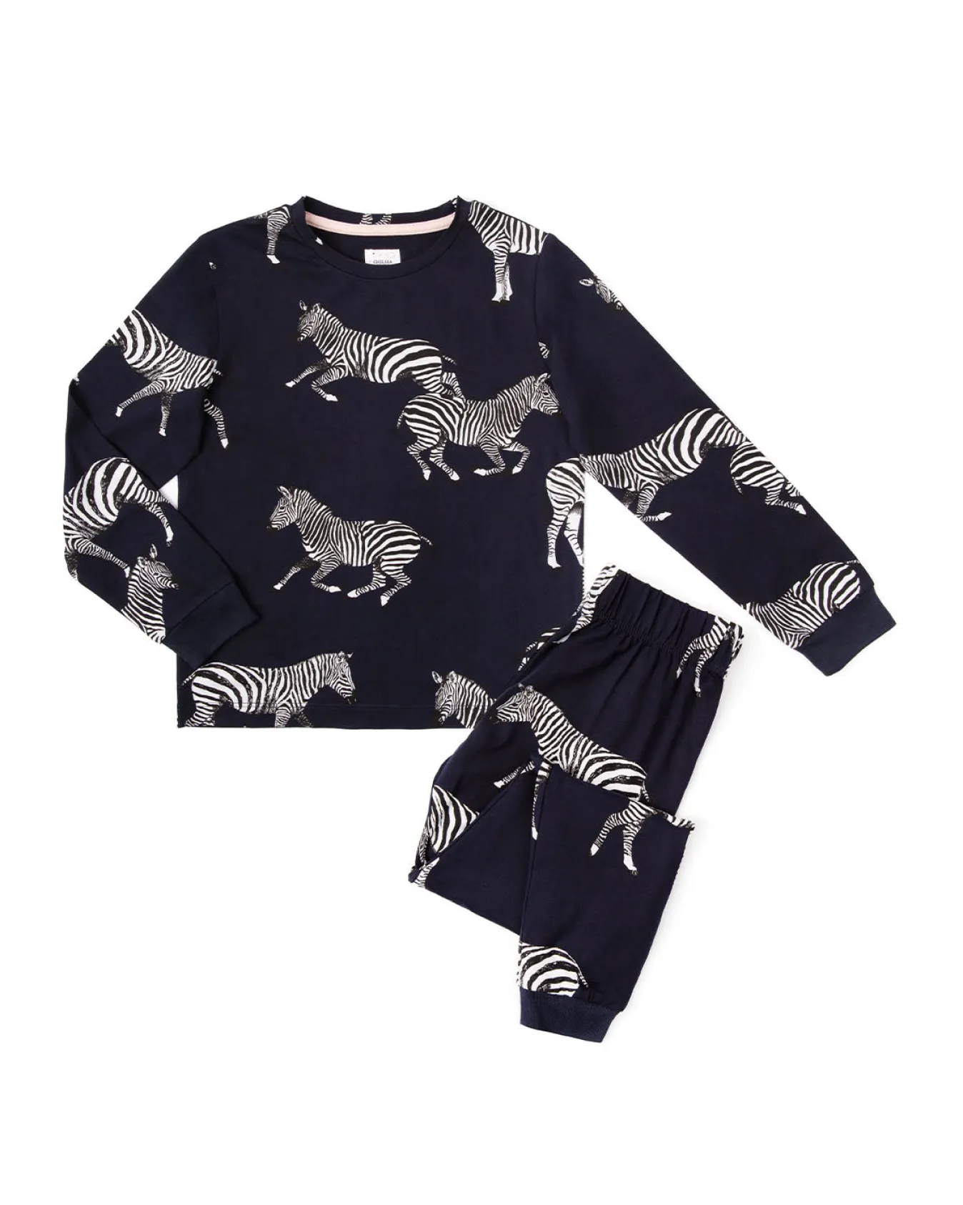 Kids Zebra Print Long Pyjama Set