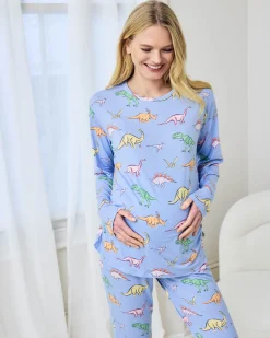 Maternity Dinosaur Print Long Pyjama Set - Blue