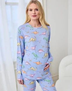 Maternity Dinosaur Print Long Pyjama Set - Blue