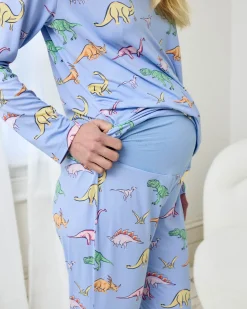 Maternity Dinosaur Print Long Pyjama Set - Blue