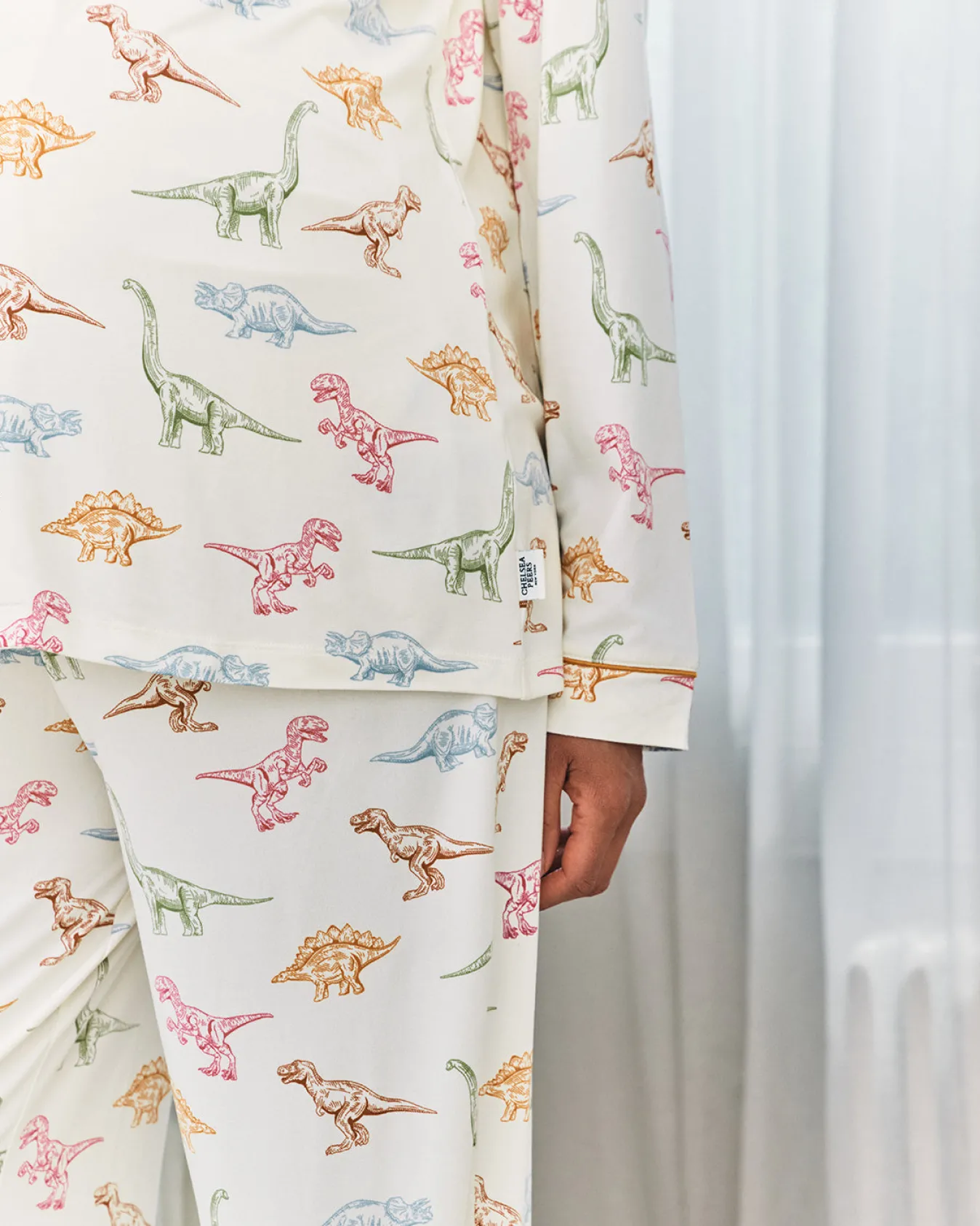 Maternity Dinosaur Print Long Pyjama Set