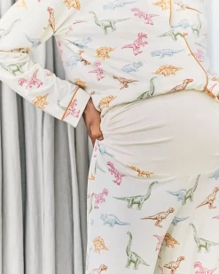Maternity Dinosaur Print Long Pyjama Set
