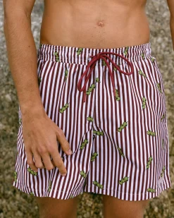 Olive Stripe Print Swim Shorts