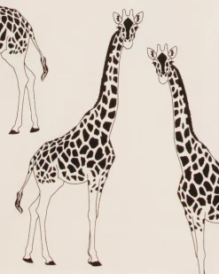 Organic Cotton Giraffe Print Short Pyjama Set - Cream