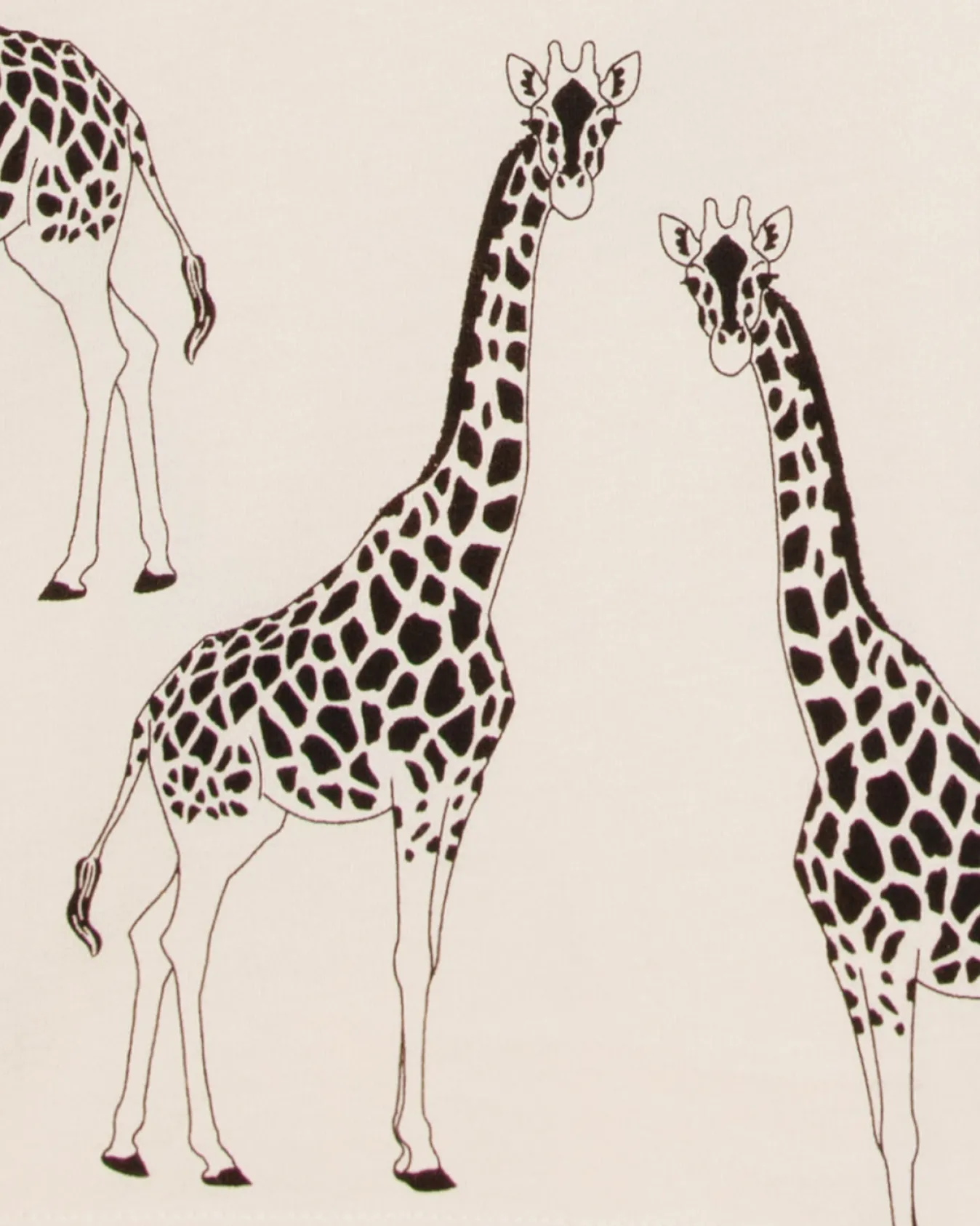 Organic Cotton Giraffe Print Short Pyjama Set - Cream