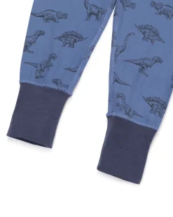 Kids Tonal Dinosaur Print Long Pyjama Set